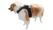 Waterproof Realtime GPS Pet Locator GSM Collar Mounted Tracking Device Size:XS