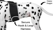 Waterproof Realtime GPS Pet Locator GSM Collar Mounted Tracking Device Size:XS
