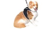 Waterproof Realtime GPS Pet Locator GSM Collar Mounted Tracking Device Size:XS